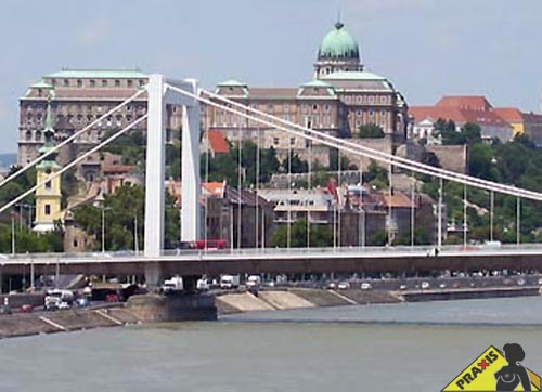 Elisabeth Bridge and the Castle